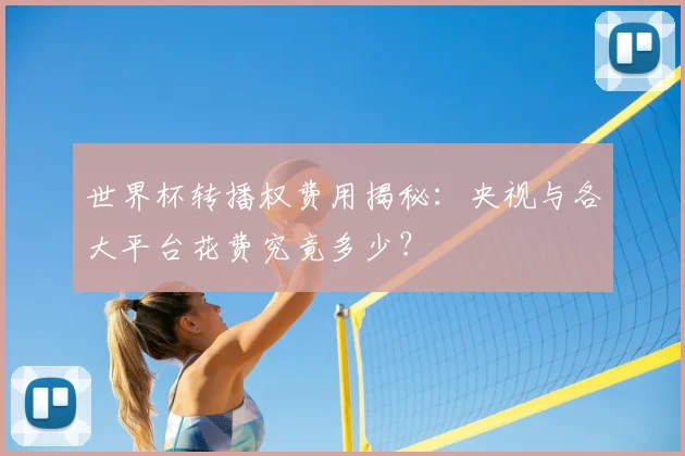 世界杯转播权费用揭秘：央视与各大平台花费究竟多少？